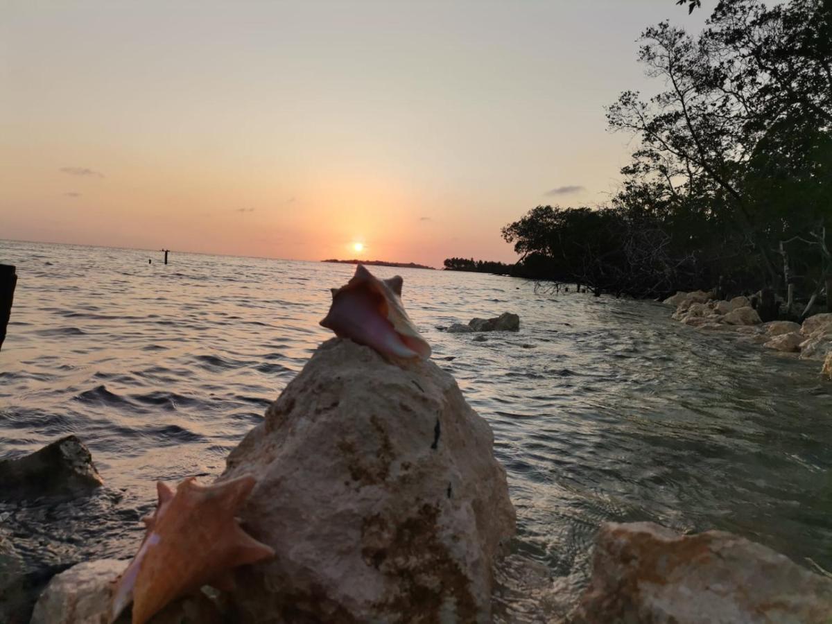 Hostel Villa Luz Beach Tintipan Island Bagian luar foto