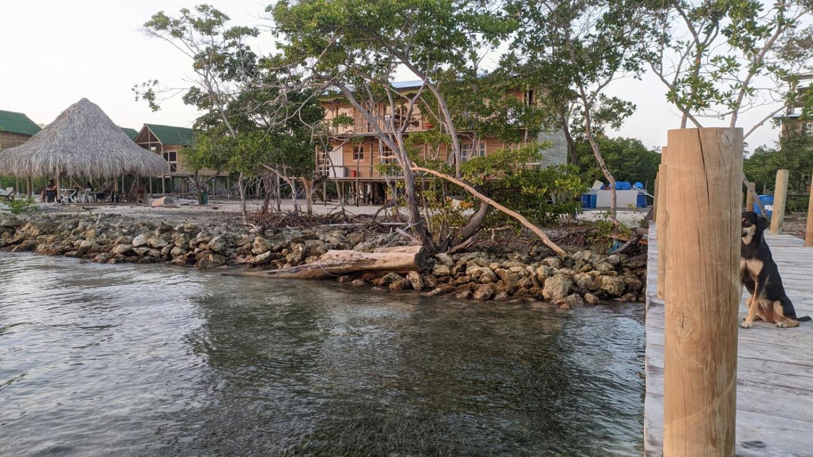 Hostel Villa Luz Beach Tintipan Island Bagian luar foto